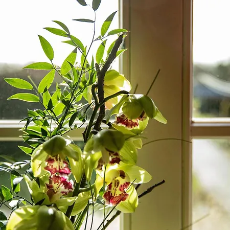 Διαμέρισμα Herrenhaus Brookhusen Nahe Rostock & Ostsee *