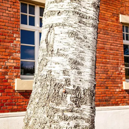 Herrenhaus Brookhusen Nahe Rostock & Ostsee Διαμέρισμα Benitz