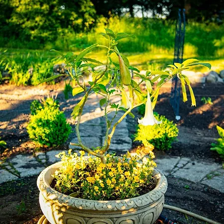 Διαμέρισμα Herrenhaus Brookhusen Nahe Rostock & Ostsee *